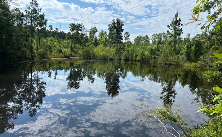 Pictures of Land property located at Starlington Rd, Georgiana, AL 36033 for sales - image #1