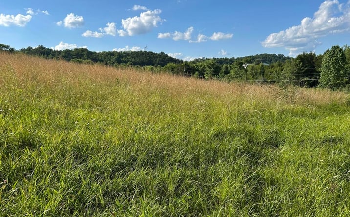 Pictures of Land property located at 0 Old Hwy 70, Rogersville, TN 37857 for sales - image #1