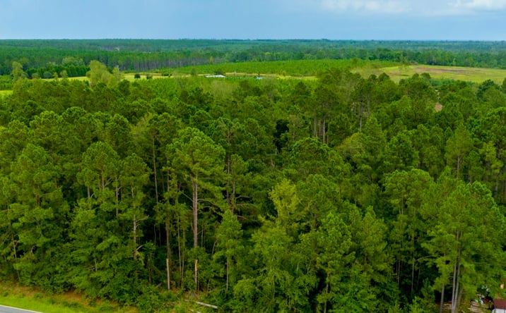 Pictures of Land property located at Macedonia Church Road, McRae, GA 31055 for sales - image #1