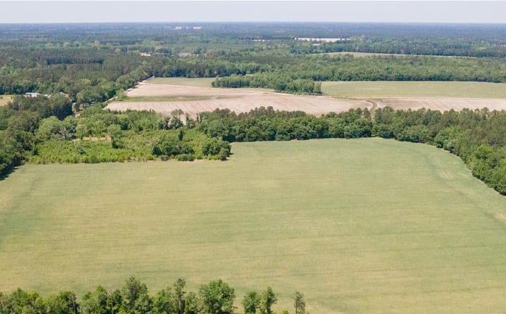 Pictures of Land property located at Old River Rd. S, Brooklet, GA 30415 for sales - image #1
