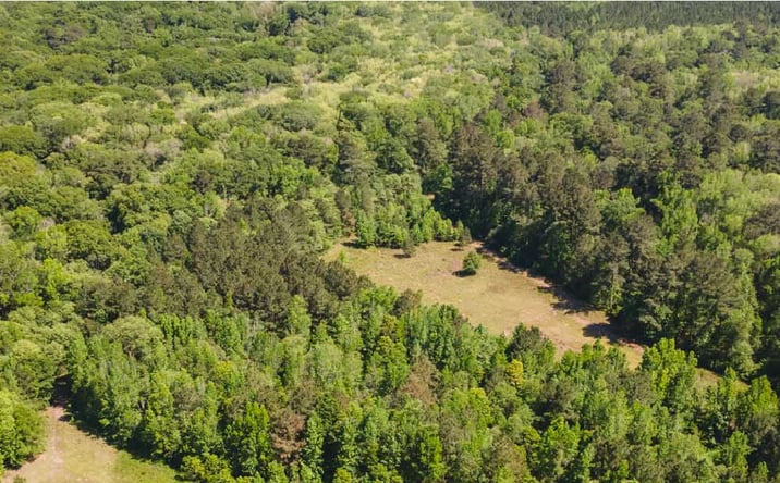 Pictures of Land property located at Old River Rd. S, Brooklet, GA 30415 for sales - image #1