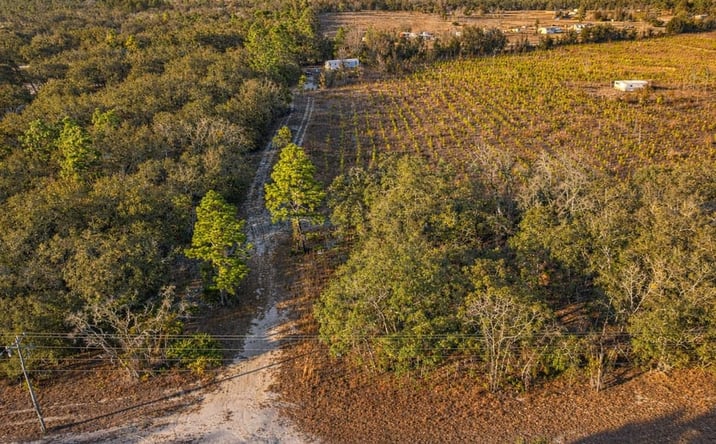 Pictures of Land property located at 600 NE 69th Lane, Bronson, FL 32621 for sales - image #1