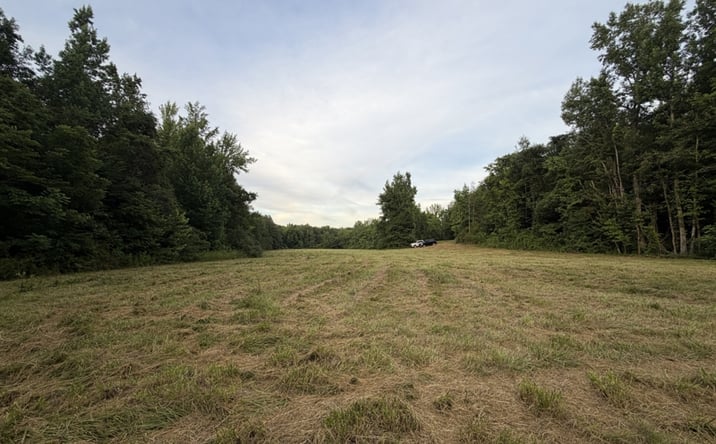 Pictures of Land property located at 0 Dry Branch Rd, Holladay, TN 38341 for sales - image #1