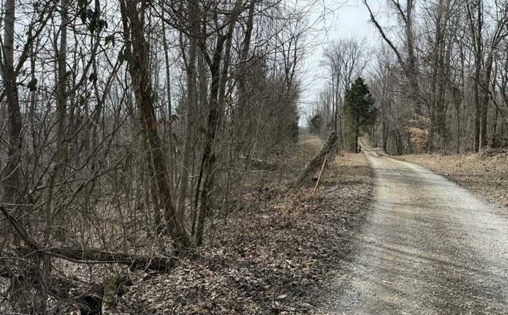 Pictures of Land property located at 0 Malone Ridge Rd, Albany, KY 42602 for sales - image #1