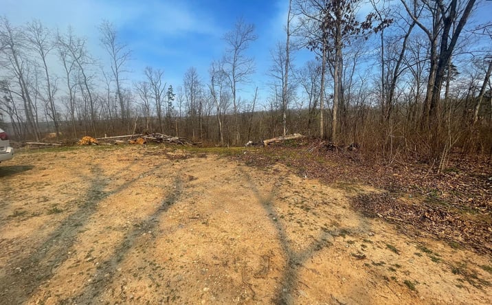 Pictures of Land property located at Wayne County Road 410, Williamsville, MO 63967 for sales - image #1
