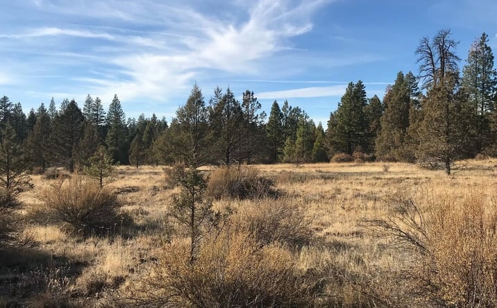 Pictures of Land property located at Lot 29 Jaguar Lane, Bonanza, OR 97623 for sales - image #1