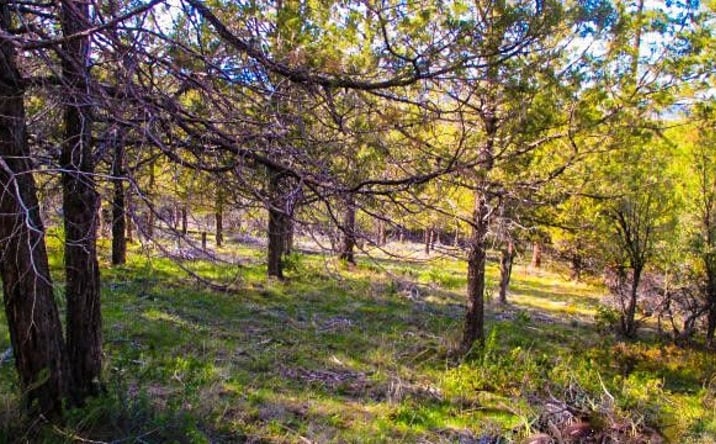 Pictures of Land property located at Pearson Butte Trl Lot 16, Klamath Falls, OR 97603 for sales - image #1