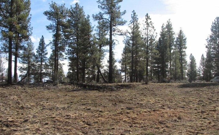 Pictures of Land property located at Lot 9 Canadian Honker Lane, Sprague River, OR 97639 for sales - image #1