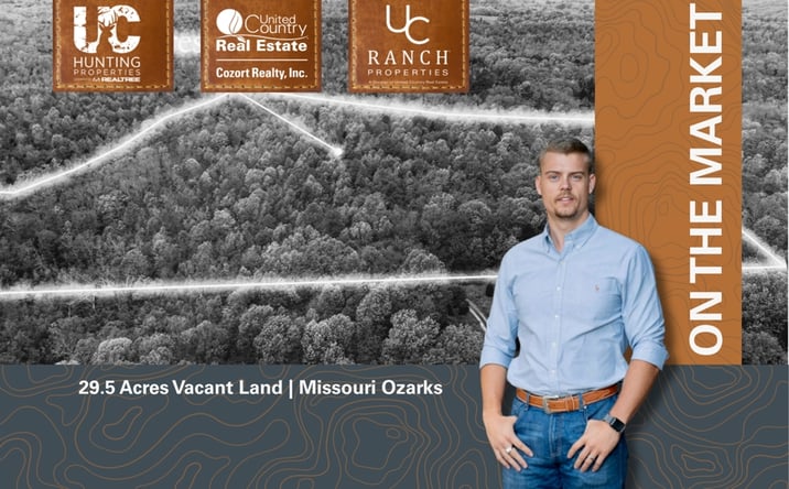 Pictures of Land property located at 000 Crooked Creek Road, Hartville, MO 65667 for sales - image #1
