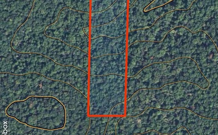Pictures of Land property located at West of Highway 21, Grandin, MO 63943 for sales - image #1