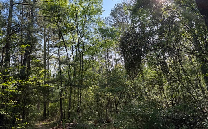 Pictures of Land property located at 0 Clear Lake Drive Northwest, Adairsville, GA 30103 for sales - image #1