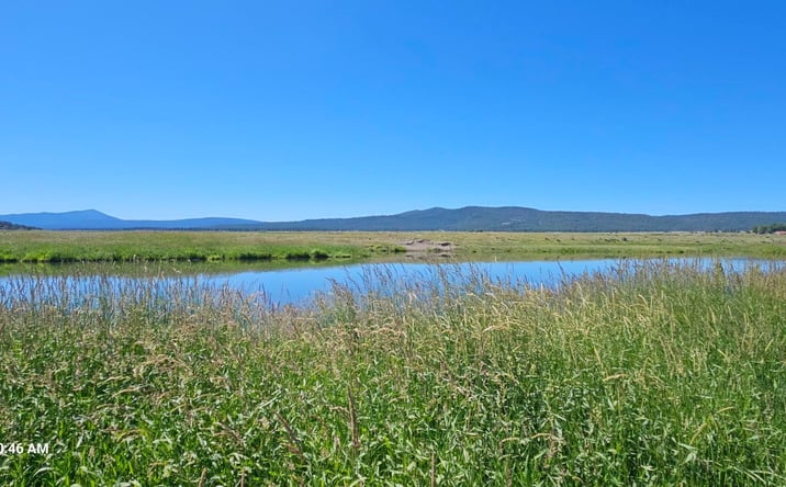 Pictures of Land property located at 0 Clearwater Drive, 35, Sprague River, OR 97639 for sales - image #1