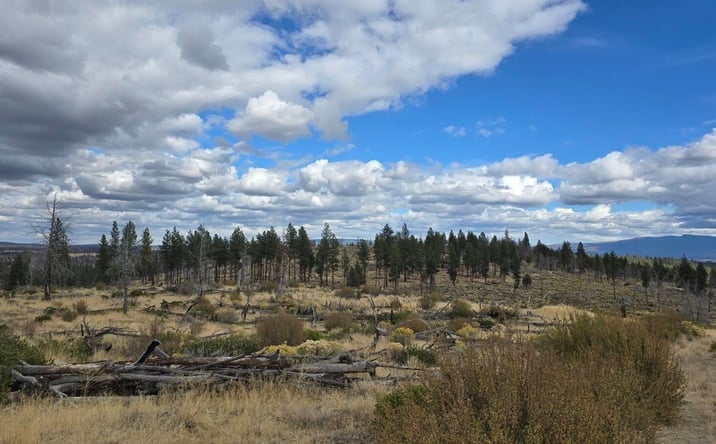 Pictures of Land property located at 19 Lot Partin Drive, Beatty, OR 97621 for sales - image #1