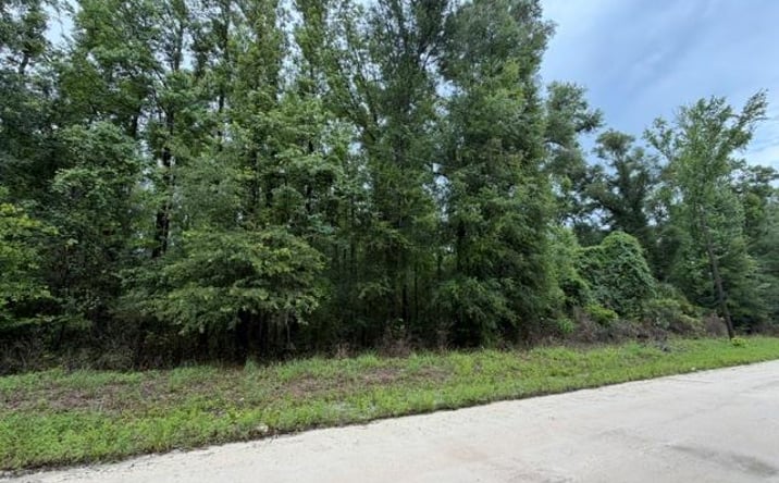 Pictures of Land property located at NE 312th Ave, Old Town, FL 32008 for sales - image #1