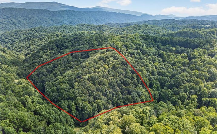Pictures of Land property located at TBD Earth Road, Meadowview, VA 24361 for sales - image #1