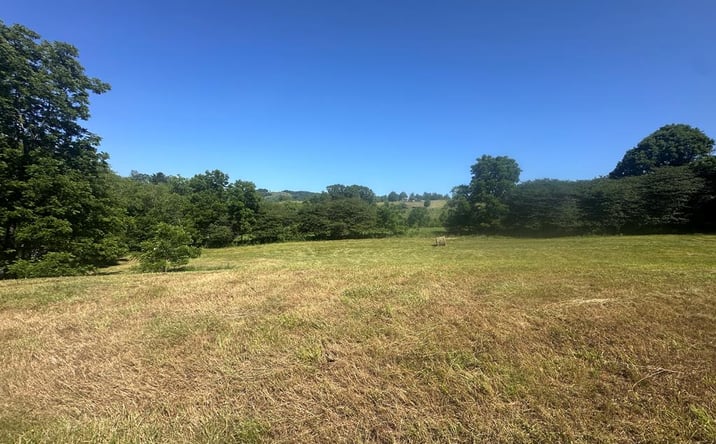 Pictures of Land, Multifamily property located at 4340 Fox Creek Rd, Mouth of Wilson, VA 24363 for sales - image #1
