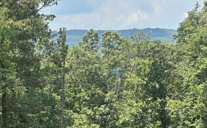 Pictures of Land property located at Lot 315 Pebble Trace, Talking Rock, GA 30175 for sales - image #1