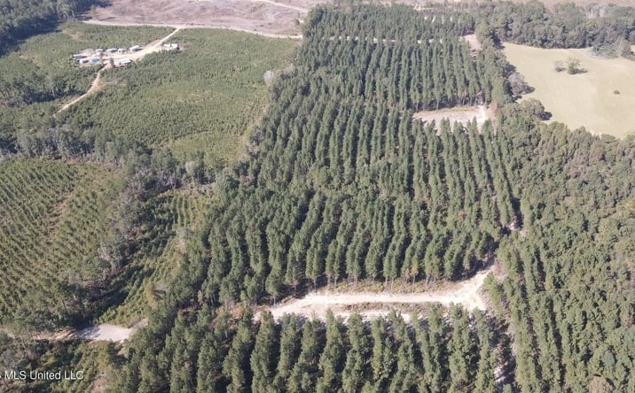 Pictures of Land property located at Loyd Irby Road, 70465, MS 39145 for sales - image #1