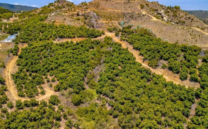 Pictures of Land property located at 1 Los Gatos, Temecula, CA 92590 for sales - image #1
