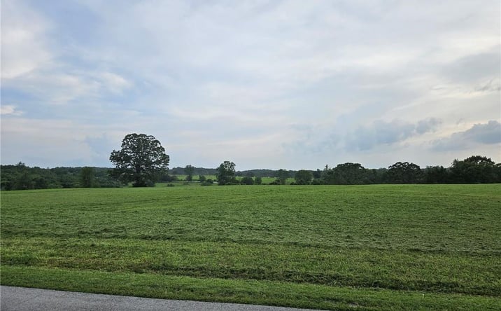 Pictures of Land, Multifamily property located at 111 Lago Vista Drive, Shell Knob, MO 65747 for sales - image #1