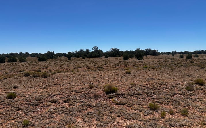 Pictures of Land property located at 301-31-222 N Rocky Top Road, Peach Springs, AZ 86434 for sales - image #1