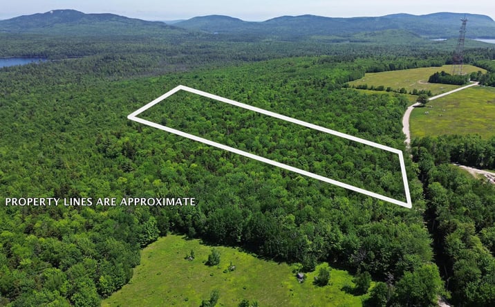 Pictures of Land property located at Lot 4 Martins Ridge Road, Franklin, ME 04634 for sales - image #1