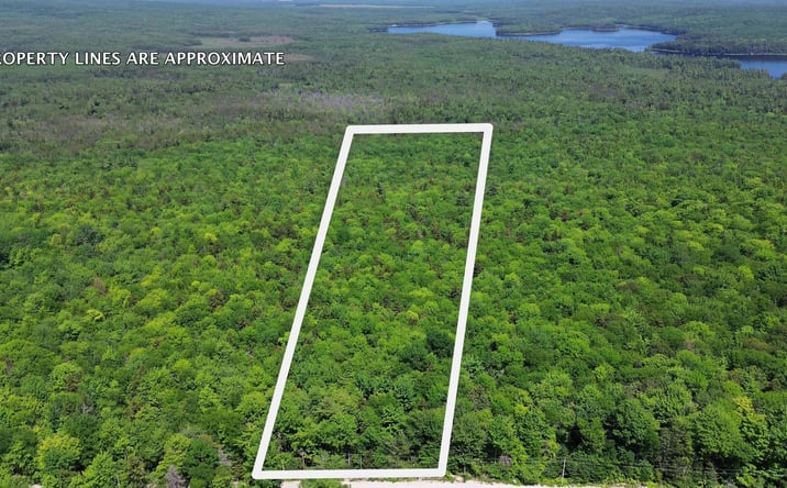 Pictures of Land property located at Lot 3 Martins Ridge Road, Franklin, ME 04634 for sales - image #1