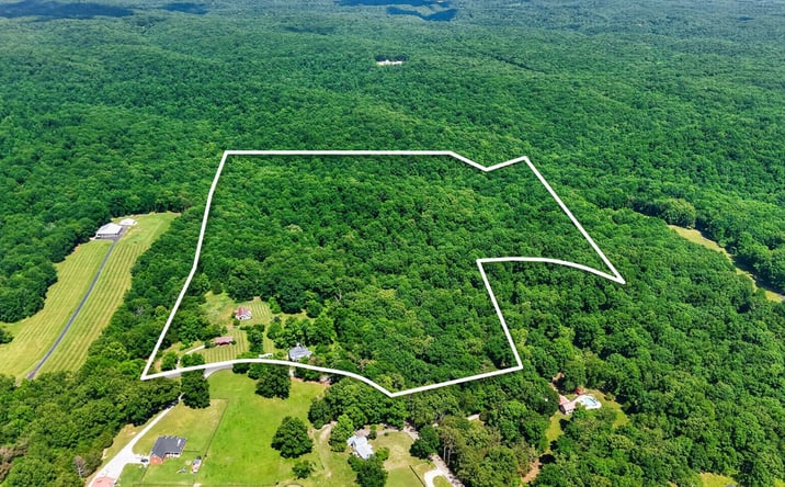 Pictures of Land property located at 7190 BAHNE RD, FAIRVIEW, TN 37062 for sales - image #1
