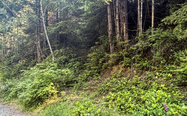 Pictures of Land, Multifamily property located at 503 E Sudan Creek Road, Waldport, OR 97394 for sales - image #1