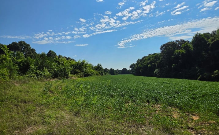 Pictures of Land property located at 3 Old Jackson Road, Trenton, TN 38382 for sales - image #1