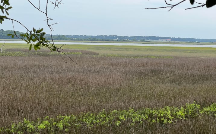 Pictures of Land property located at 2017 Paul Chavis Lane, Charleston, SC 29412 for sales - image #1