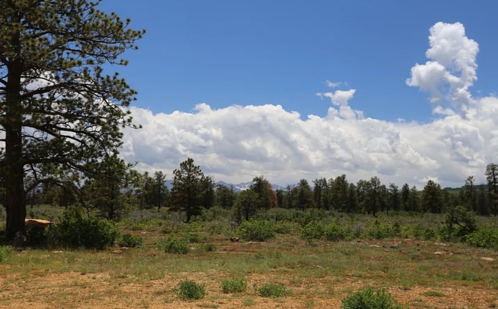 Pictures of Land property located at TBD Government Springs Road, 16895, CO 81403 for sales - image #1