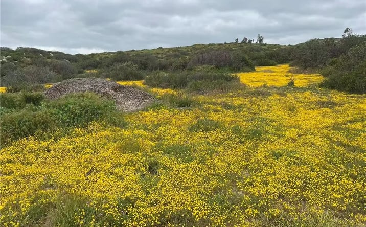 Pictures of Land property located at Stanley, Hemet, CA 92544 for sales - image #1