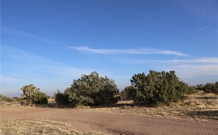 Pictures of Land property located at 9955 Macron, Hesperia, CA 92344 for sales - image #1