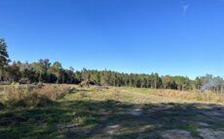 Pictures of Industrial, Mixed Use property located at 9425 U.S. 178, Harleyville, SC 29477 for sales - image #1