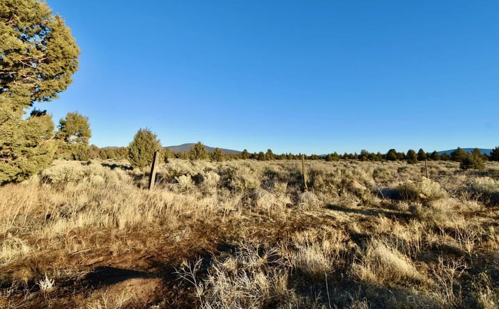 Pictures of Land property located at Red Rock Rd, Macdoel, CA 96058 for sales - image #1