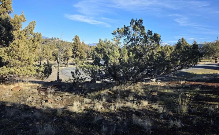 Pictures of Land property located at Quail Rdg Lot 254, Lake Shastina, CA 96094 for sales - image #1