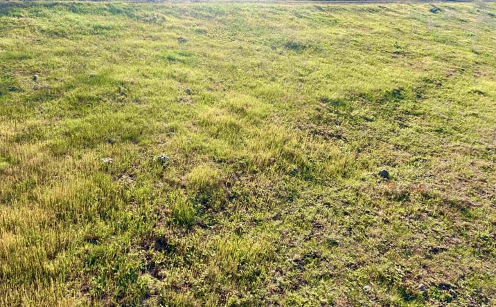 Pictures of Land property located at Yellow Dog Trl, Hornbrook, CA 96044 for sales - image #1