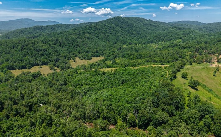 Pictures of Land, Multifamily property located at TBD Clito Road, Fries, VA 24330 for sales - image #1