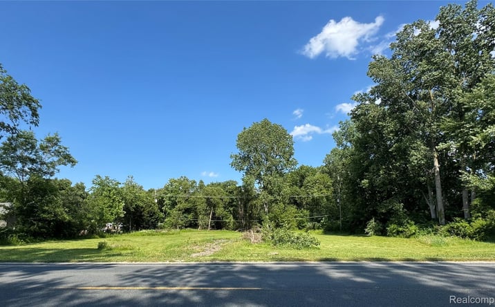Pictures of Land property located at 13685 Rawsonville Road, Belleville, MI 48111 for sales - image #1