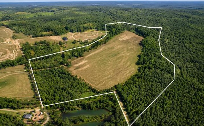 Pictures of Land property located at 2003 Driggers Lane, Manning, SC 29102 for sales - image #1