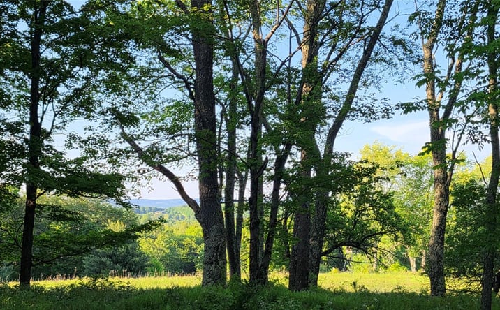 Pictures of Land property located at Lot 1.35 W Shore Road, Bethel, NY 12720 for sales - image #1