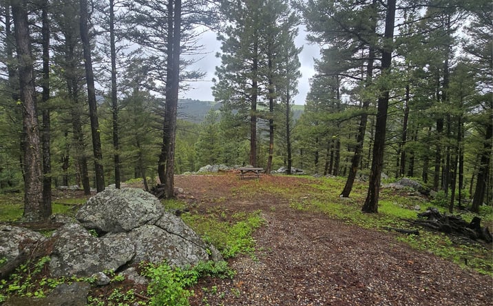 Pictures of Land property located at 60 Snowberry Lane, DRUMMOND, MT 59832 for sales - image #1
