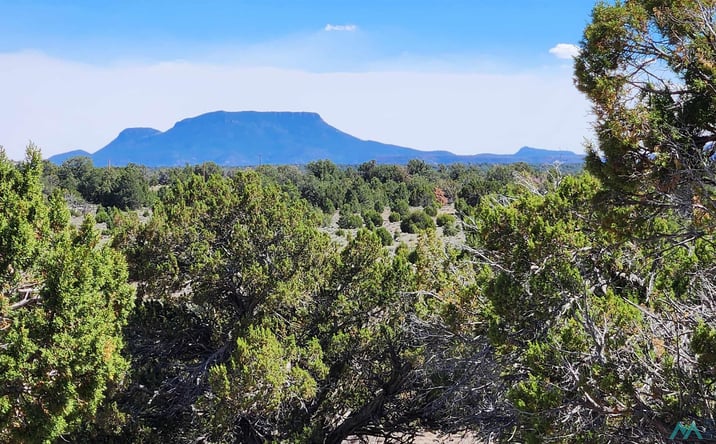 Pictures of Land property located at TBD Ocaso Circle Road, Pie Town, NM 87827 for sales - image #1