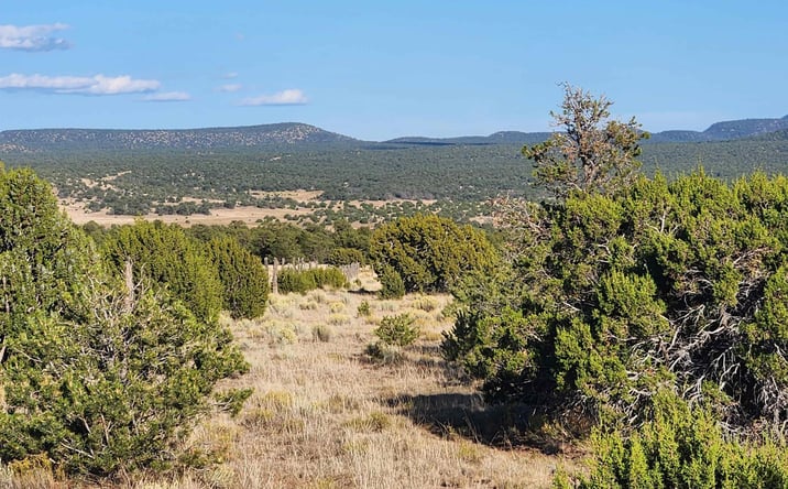 Pictures of Land property located at TBD Mangas Road Road, Datil, NM 87821 for sales - image #1