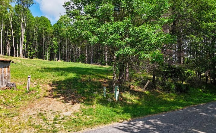 Pictures of Land, Multifamily property located at TBD SW Dogwood Lane, Willis, VA 24380 for sales - image #1