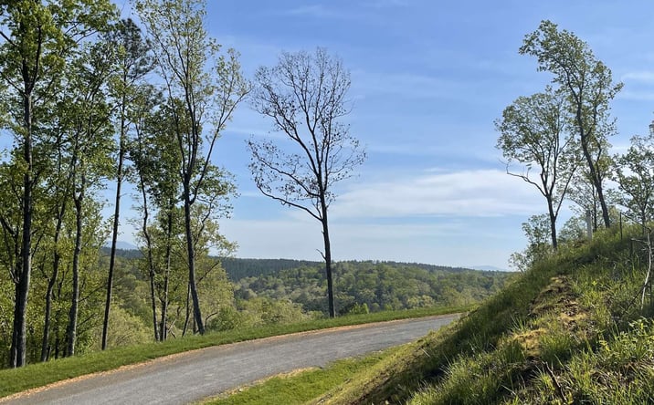 Pictures of Land property located at LT118 S Jakes Landing Way, Ellijay, GA 30540 for sales - image #1