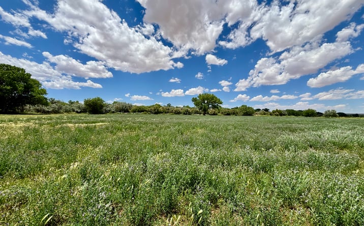 Pictures of Land property located at 87 Camino Ulibarri, Veguita, NM 87062 for sales - image #1