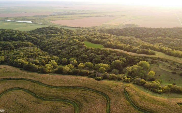 Pictures of Land property located at TBD 286th Street, Hamburg, IA 51640 for sales - image #1