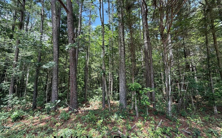 Pictures of Land property located at McKelvey Road, Camden, TN 38320 for sales - image #1